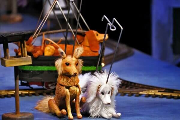 Choo. Choo. Whistle. Woof! Photo by Josef Ptáček.
