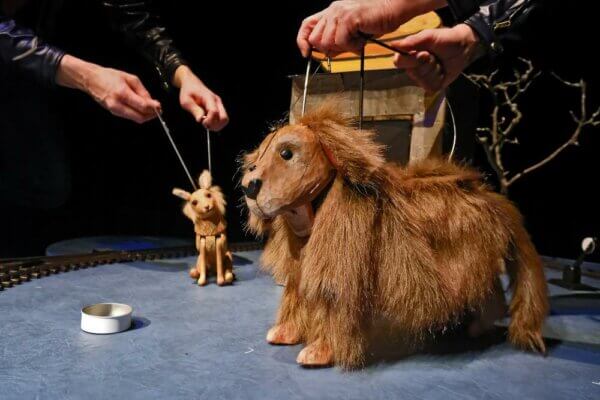 Choo. Choo. Whistle. Woof! Photo by Josef Ptáček.