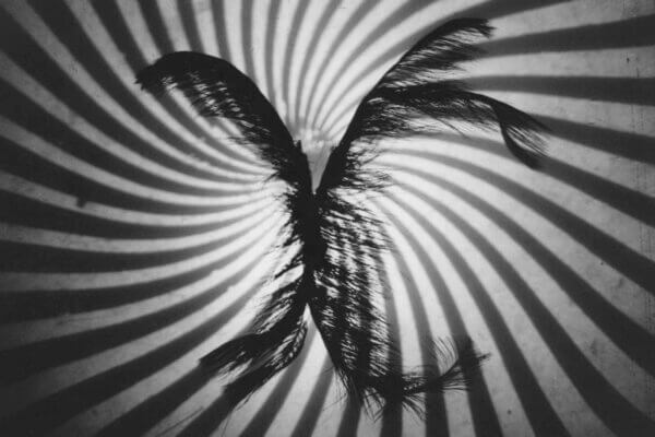 Symphonie Fantastique. Photo RichardTermine.