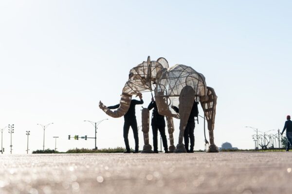 Imagination Circus. Photo Nick Zoulek.