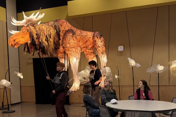 Andrew Kim Giant Puppet Workshop