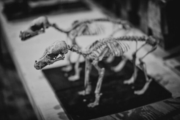 Théâtre de la Massue. Photo Lara Montagnac