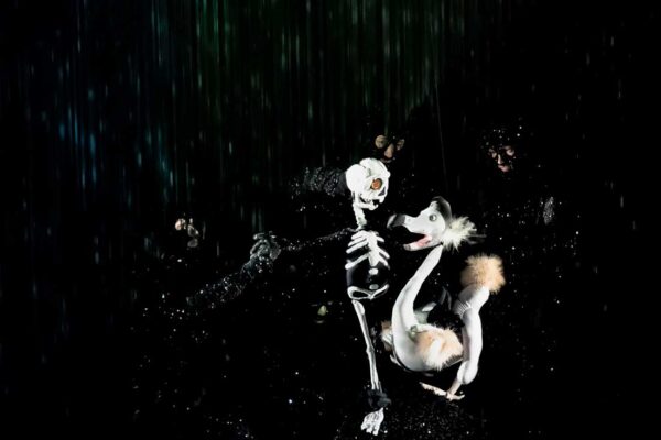 Dead as a Dodo. Photo Richard Termine