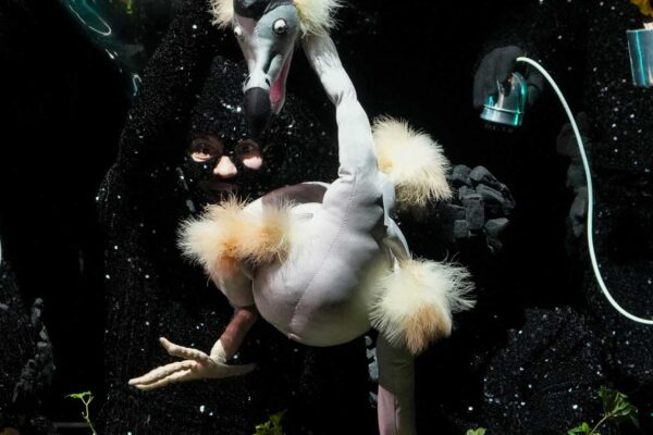 Dead as a Dodo. Photo Richard Termine