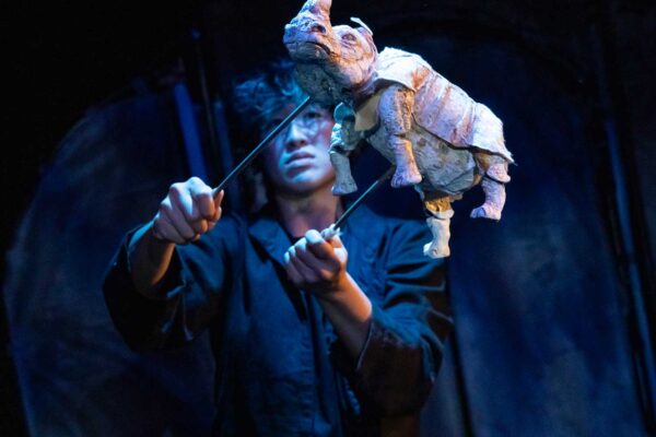 Rhynoceron. Photo Richard Termine.