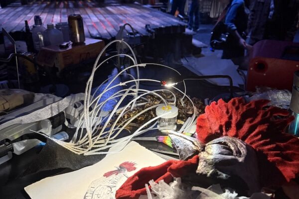 White Rooster, in process. Photo Caitlin McLeod