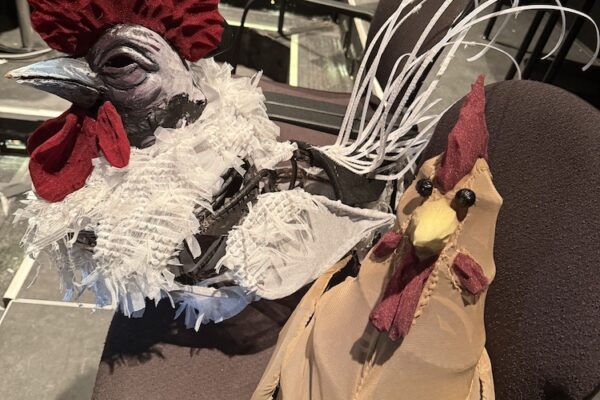 White Rooster, in process. Photo Caitlin McLeod