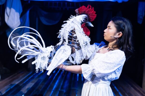 White Rooster. Photo Justin N. Barbin
