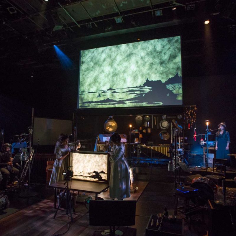 Frankenstein by Manual Cinema. Photo by Michael Brosilow.