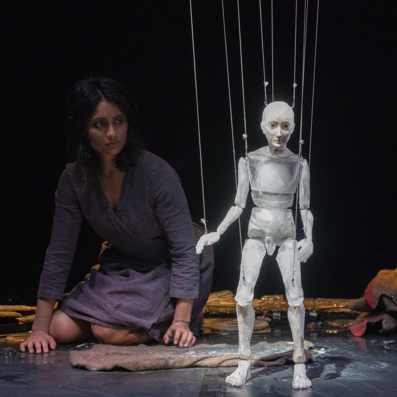 Photo: Chicago International Puppet Theater Festival 

Production Photography:
		
Thursday 1/19	10:00am	“Squirrel Stole My Underpants”	Chicago Children's Theatre	100 South Racine Ave	40 mins	

Thursday 1/19	1:00pm	“Go Home Tiny Monster”	Chicago Children's Theatre	100 South Racine Ave	40 mins	

Thursday 1/19	7:30pm	“R.A.G.E.” 	MCA	205 East Pearson Street	105 mins	

Friday 1/20	4:30pm	“My Night in the Planetarium”	Marshall Fields Garden Apartments/Art on Sedgwick	1408 N Sedwick Street	45 mins	

Friday 1/20	7:30pm	“Anywhere Chopin” Theater Upstairs	1543 W Division Street	50 mins	

Friday 1/20	10:30pm	“Nasty, Brutish & Short”	Links Hall	3111 N Weestern Ave	85 mins	

Saturday 1/21	5:00pm	“Moby Dick”	Fine Arts Building, Studebaker Theater	410 S Michigan Ave	100 mins	

Saturday 1/21	7:00pm	“As Though Your Body Were Right”	Studio 402	410 S Michigan Ave	62 mins	

Saturday 1/21	10:30pm	“Nasty, Brutish & Short”	Links Hall	3111 N Weestern Ave	85 mins	

Sunday 1/22	2:00pm	“Grand Panorama”	Harold Washington Library	400 S State Street	48 mins	

Sunday 1/22	6:00pm	“Invisible Lands”	Chopin Theater, Basement	1543 W Division Street	50 mins	

Monday 1/23	7:00pm	“Macbeth Muet”	Chopin Theater, Downstairs	1543 W Division Street	60 mins	


Photograph: © 2023 Richard Termine.
PHOTO CREDIT - Richard Termine